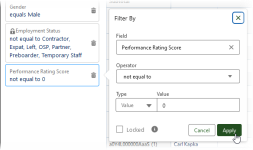 Screenshot showing performance rating score filter with operator and value completed, and apply selected.